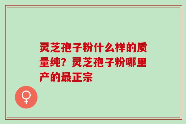 灵芝孢子粉什么样的质量纯？灵芝孢子粉哪里产的最正宗