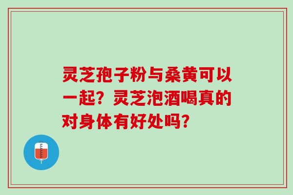 灵芝孢子粉与桑黄可以一起？灵芝泡酒喝真的对身体有好处吗？