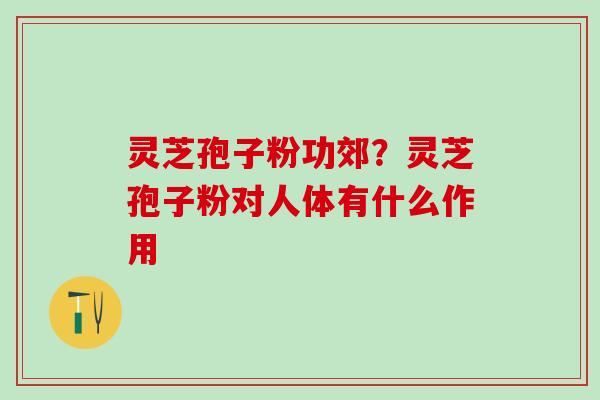 灵芝孢子粉功郊？灵芝孢子粉对人体有什么作用