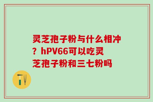 灵芝孢子粉与什么相冲?hPV66可以吃灵芝孢子粉和三七粉吗 灵芝孢子粉与什么相冲?hPV66可以吃灵芝孢子粉和三七粉吗