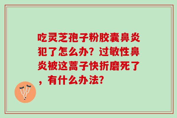 吃灵芝孢子粉胶囊鼻炎犯了怎么办？过敏性鼻炎被这蒿子快折磨死了，有什么办法？