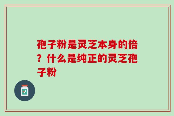 孢子粉是灵芝本身的倍？什么是纯正的灵芝孢子粉