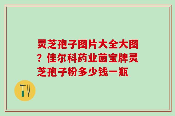 灵芝孢子图片大全大图?佳尔科药业菌宝牌灵芝孢子粉多少钱一瓶 灵芝孢子图片大全大图?佳尔科药业菌宝牌灵芝孢子粉多少钱一瓶