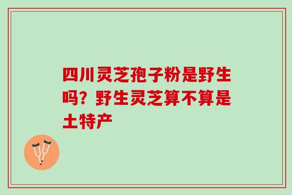 四川灵芝孢子粉是野生吗?野生灵芝算不算是土特产 四川灵芝孢子粉是野生吗?野生灵芝算不算是土特产