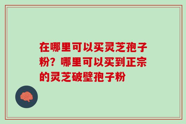 在哪里可以买灵芝孢子粉?哪里可以买到正宗的灵芝破壁孢子粉 在哪里可以买灵芝孢子粉?哪里可以买到正宗的灵芝破壁孢子粉