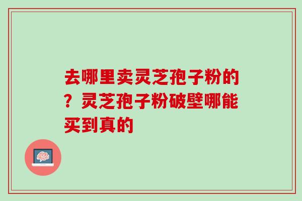 去哪里卖灵芝孢子粉的？灵芝孢子粉破壁哪能买到真的