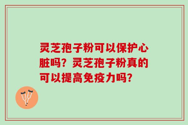 灵芝孢子粉可以保护心脏吗？灵芝孢子粉真的可以提高免疫力吗？