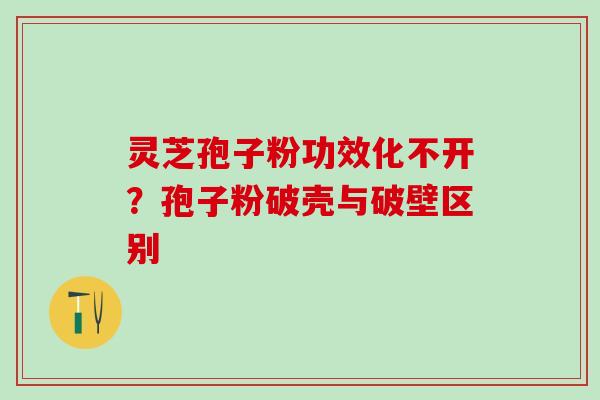 灵芝孢子粉功效化不开?孢子粉破壳与破壁区别 灵芝孢子粉功效化不开?孢子粉破壳与破壁区别