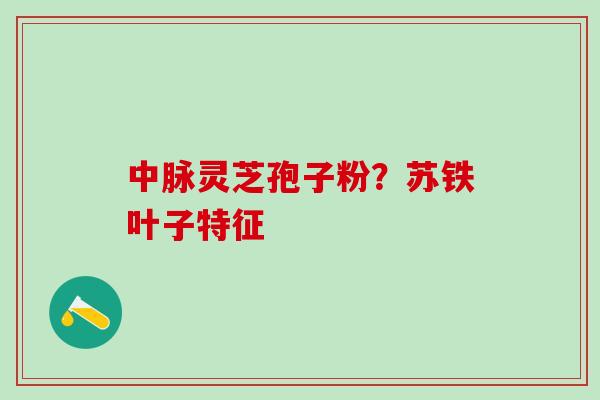 中脉灵芝孢子粉？苏铁叶子特征