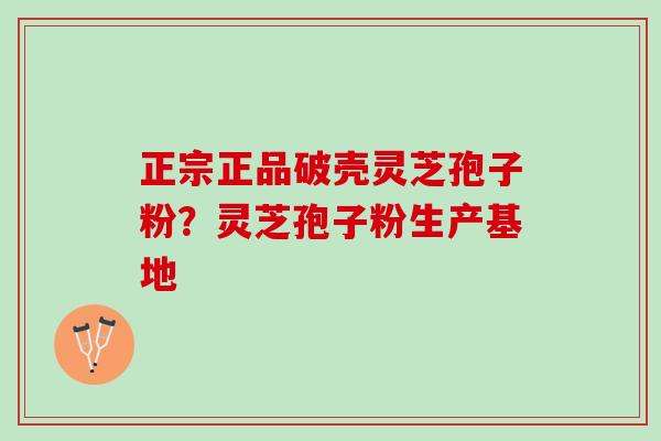 正宗正品破壳灵芝孢子粉？灵芝孢子粉生产基地