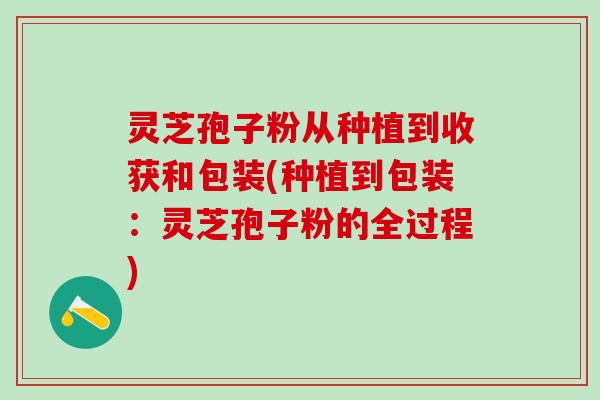 灵芝孢子粉从种植到收获和包装(种植到包装：灵芝孢子粉的全过程)