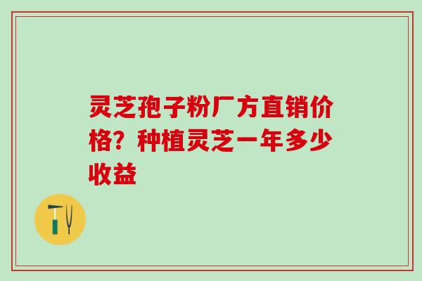 灵芝孢子粉厂方直销价格？种植灵芝一年多少收益