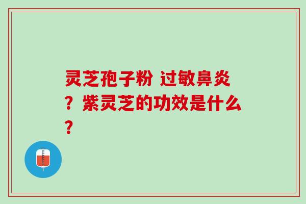 灵芝孢子粉 过敏鼻炎？紫灵芝的功效是什么？