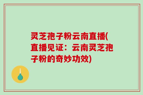 灵芝孢子粉云南直播(直播见证:云南灵芝孢子粉的奇妙功效) 灵芝孢子粉云南直播(直播见证:云南灵芝孢子粉的奇妙功效)