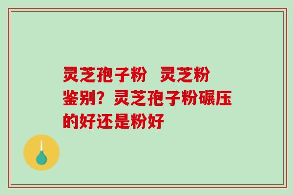 灵芝孢子粉 灵芝粉鉴别?灵芝孢子粉碾压的好还是粉好 灵芝孢子粉 灵芝粉鉴别?灵芝孢子粉碾压的好还是粉好