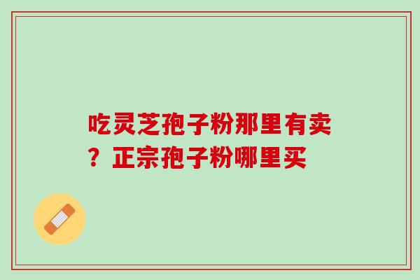 吃灵芝孢子粉那里有卖？正宗孢子粉哪里买