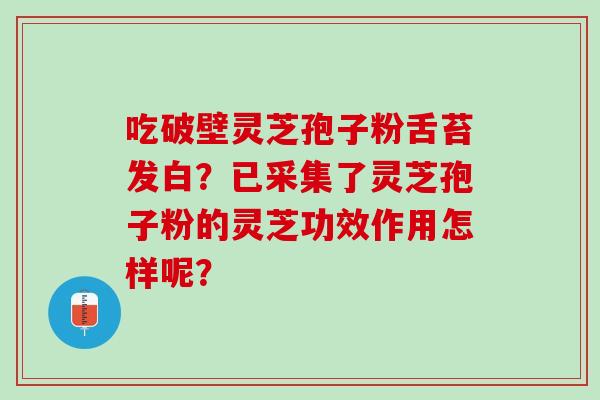 吃破壁灵芝孢子粉舌苔发白?已采集了灵芝孢子粉的灵芝功效作用怎样呢? 吃破壁灵芝孢子粉舌苔发白?已采集了灵芝孢子粉的灵芝功效作用怎样呢?