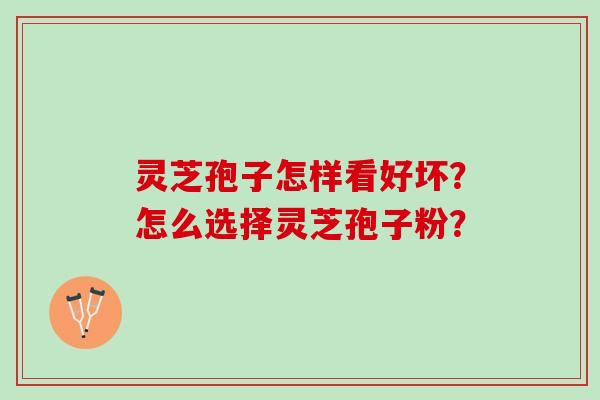 灵芝孢子怎样看好坏？怎么选择灵芝孢子粉？