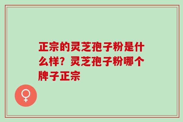 正宗的灵芝孢子粉是什么样?灵芝孢子粉哪个牌子正宗 正宗的灵芝孢子粉是什么样?灵芝孢子粉哪个牌子正宗