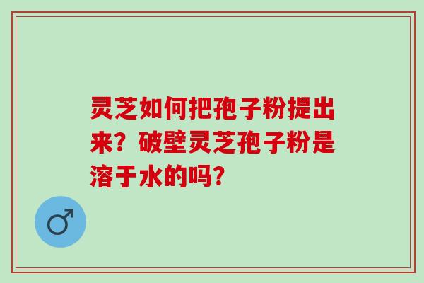 灵芝如何把孢子粉提出来？破壁灵芝孢子粉是溶于水的吗？