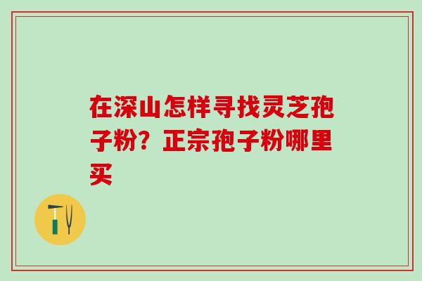 在深山怎样寻找灵芝孢子粉?正宗孢子粉哪里买 在深山怎样寻找灵芝孢子粉?正宗孢子粉哪里买