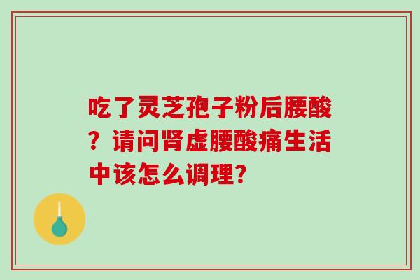 吃了灵芝孢子粉后腰酸？请问肾虚腰酸痛生活中该怎么调理？