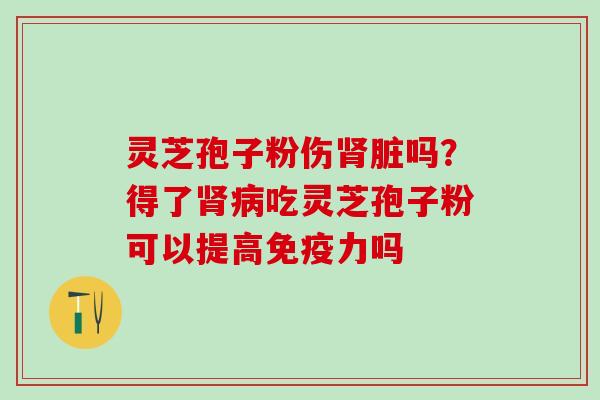 灵芝孢子粉伤肾脏吗？得了肾病吃灵芝孢子粉可以提高免疫力吗