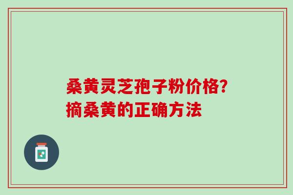 桑黄灵芝孢子粉价格？摘桑黄的正确方法