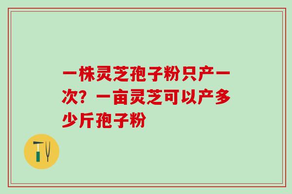 一株灵芝孢子粉只产一次？一亩灵芝可以产多少斤孢子粉