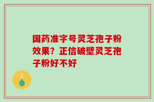 国药准字号灵芝孢子粉效果？正信破壁灵芝孢子粉好不好