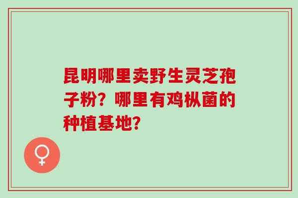 昆明哪里卖野生灵芝孢子粉？哪里有鸡枞菌的种植基地？