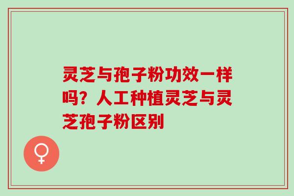 灵芝与孢子粉功效一样吗？人工种植灵芝与灵芝孢子粉区别