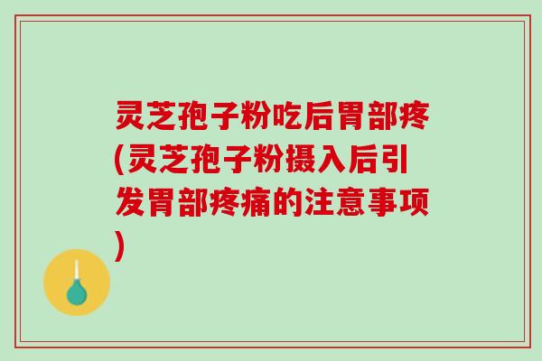 灵芝孢子粉吃后胃部疼(灵芝孢子粉摄入后引发胃部的注意事项)