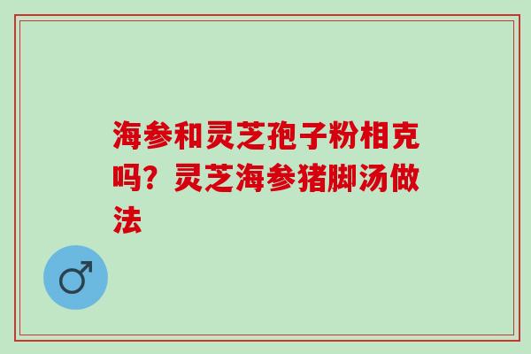 海参和灵芝孢子粉相克吗?灵芝海参猪脚汤做法 海参和灵芝孢子粉相克吗?灵芝海参猪脚汤做法