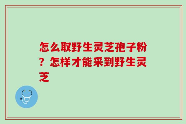 怎么取野生灵芝孢子粉？怎样才能采到野生灵芝