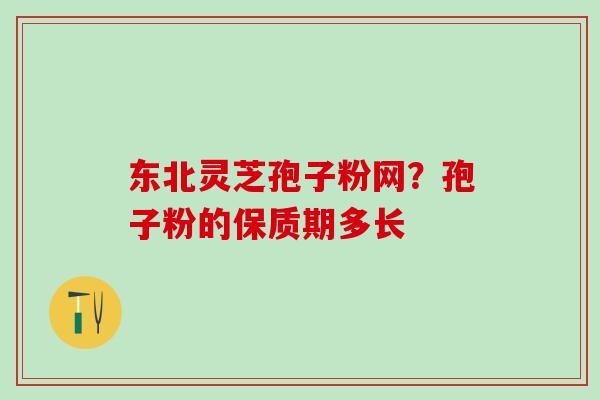 东北灵芝孢子粉网？孢子粉的保质期多长
