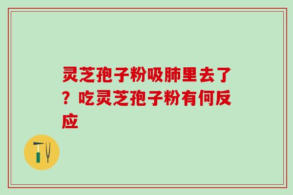 灵芝孢子粉吸肺里去了？吃灵芝孢子粉有何反应