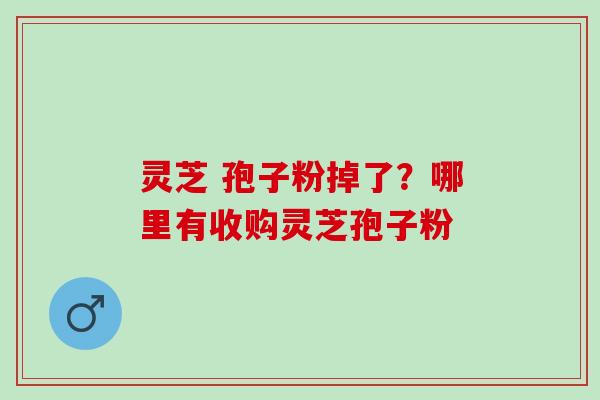 灵芝 孢子粉掉了?哪里有收购灵芝孢子粉 灵芝 孢子粉掉了?哪里有收购灵芝孢子粉