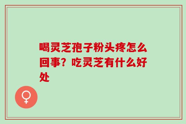 喝灵芝孢子粉头疼怎么回事?吃灵芝有什么好处 喝灵芝孢子粉头疼怎么回事?吃灵芝有什么好处