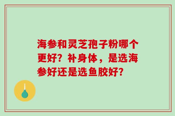 海参和灵芝孢子粉哪个更好？补身体，是选海参好还是选鱼胶好？