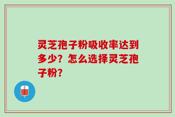 灵芝孢子粉吸收率达到多少？怎么选择灵芝孢子粉？