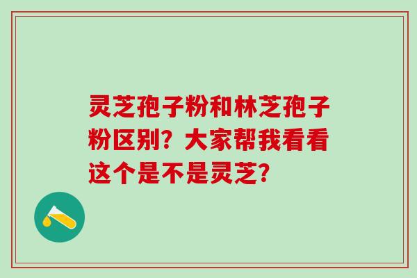 灵芝孢子粉和林芝孢子粉区别？大家帮我看看这个是不是灵芝？