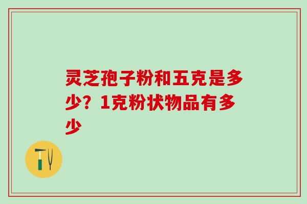 灵芝孢子粉和五克是多少？1克粉状物品有多少