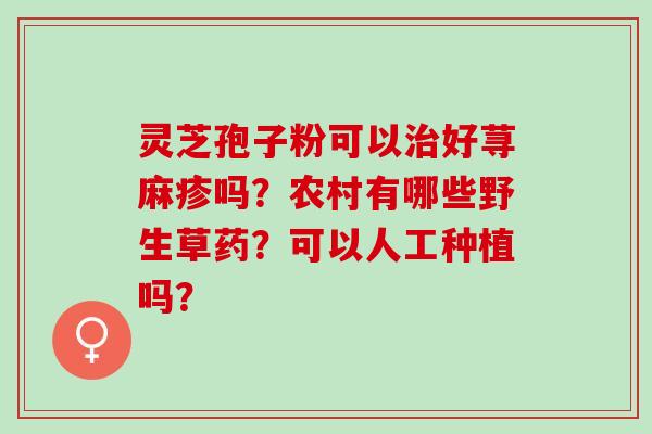 灵芝孢子粉可以好荨麻疹吗?农村有哪些野生草药?可以人工种植吗? 灵芝孢子粉可以好荨麻疹吗?农村有哪些野生草药?可以人工种植吗?