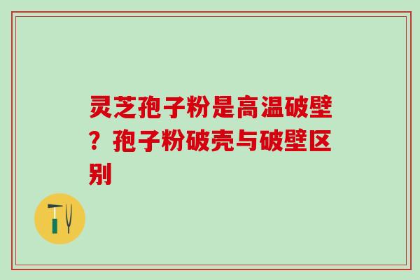 灵芝孢子粉是高温破壁？孢子粉破壳与破壁区别