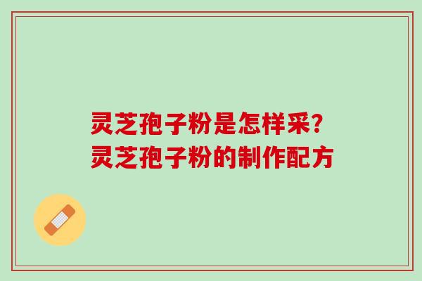灵芝孢子粉是怎样采?灵芝孢子粉的制作配方 灵芝孢子粉是怎样采?灵芝孢子粉的制作配方