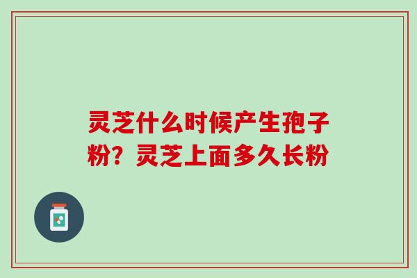 灵芝什么时候产生孢子粉？灵芝上面多久长粉
