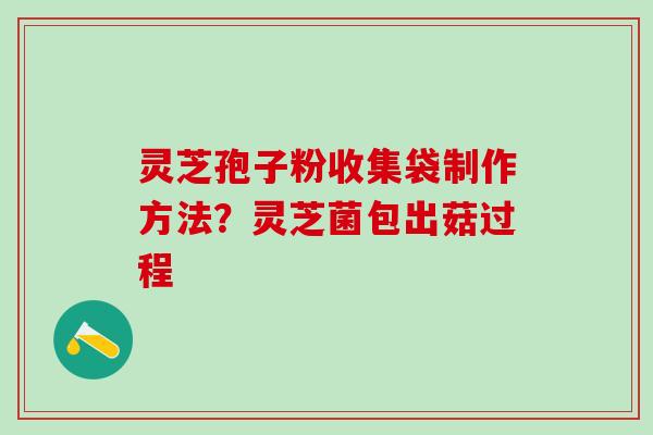 灵芝孢子粉收集袋制作方法?灵芝菌包出菇过程 灵芝孢子粉收集袋制作方法?灵芝菌包出菇过程