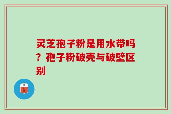 灵芝孢子粉是用水带吗？孢子粉破壳与破壁区别
