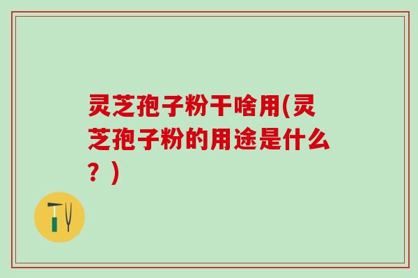 灵芝孢子粉干啥用(灵芝孢子粉的用途是什么？)